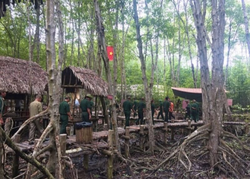 Cần Giờ, Where Mangrove Forests and Mischievous Monkeys Rewrite Your Weekend
