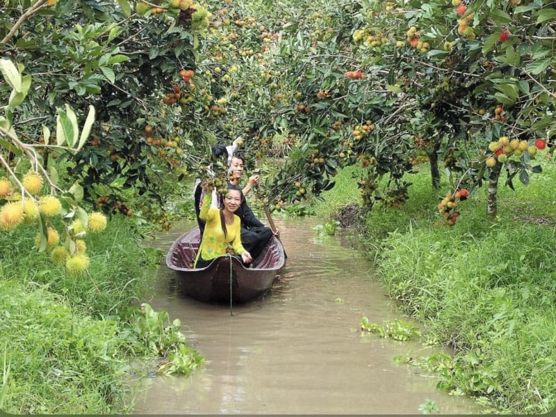 The Sweetest Adventure in Southeast Asia Why the Mekong’s Fruit Kingdom Hooks Every Visitor