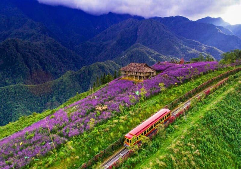 From Mountains to Ancient Villages, Travel Tours Near Hanoi You Will Want Now