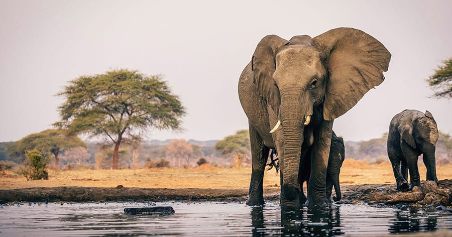 New Adventure Routes, A Global Tour for Travelers Who Refuse the Ordinary