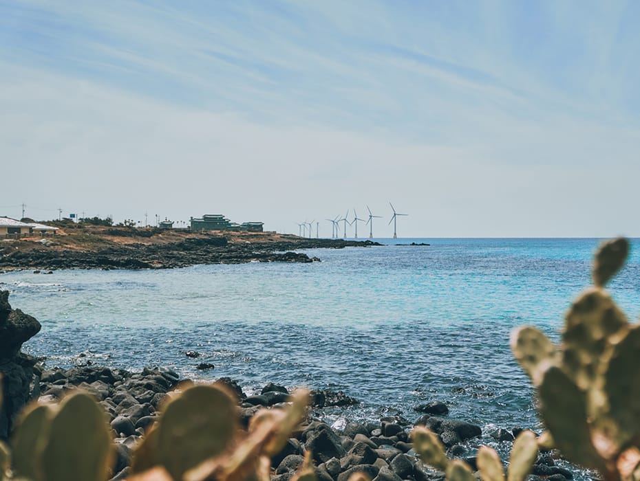 Jeju Island Weekend Escape Through Olle Trails And Sunrise Peaks