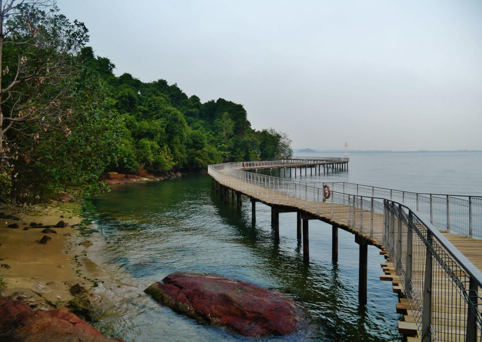 Pulau Ubin Itinerary Strategy – Cycling Trails, Nature, and Real Access