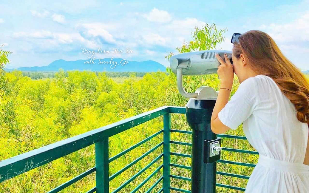 3 Days of Floating Markets and Forbidden Forests, The Ultimate Mekong Delta Tour