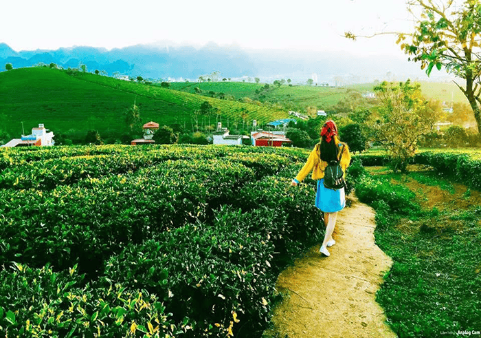 New Year, New Heights, Why You Need to Walk the Glass Bridge This January